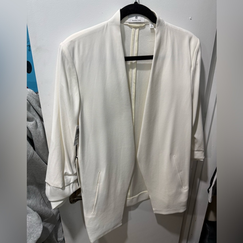 Aritzia Babaton New Power Blazer